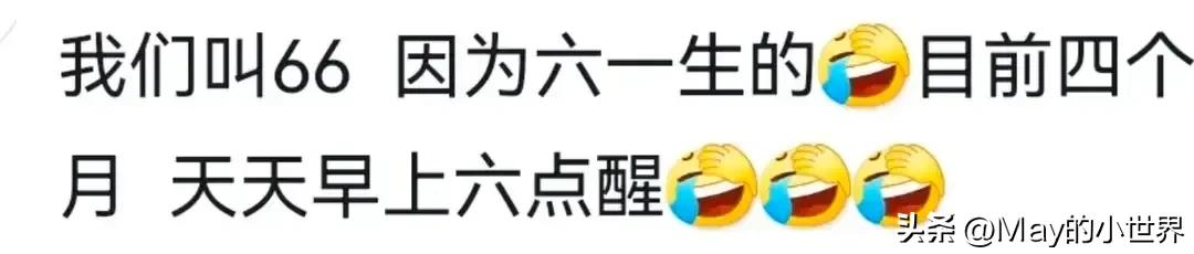 网友